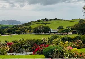 Photo 31- click for photo gallery